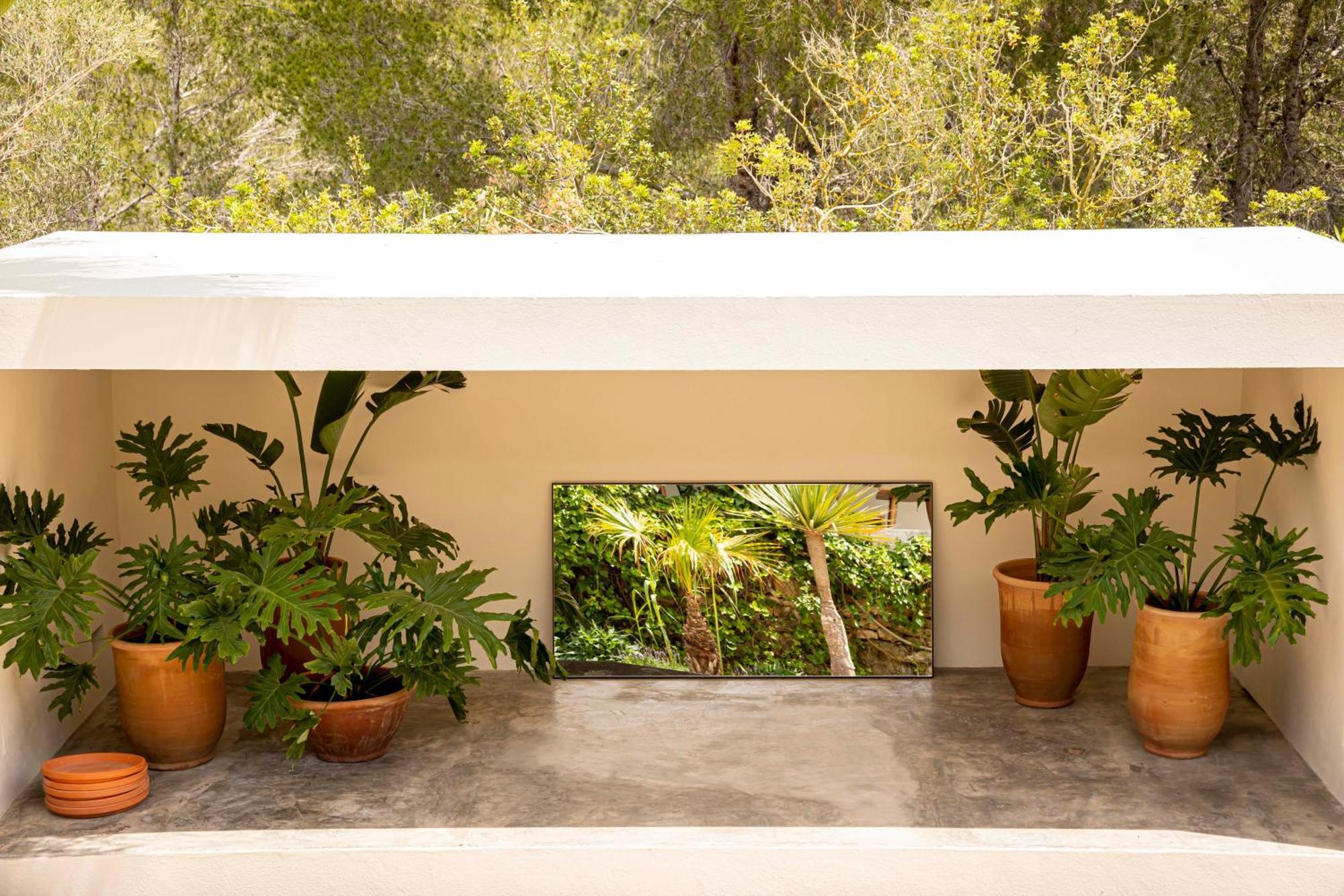 Boutique Hotel Jardines De Palerm San José Buitenkant foto